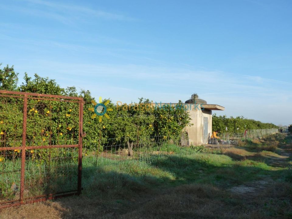 Helårsgrund i Oliva, Valencia - foto 1