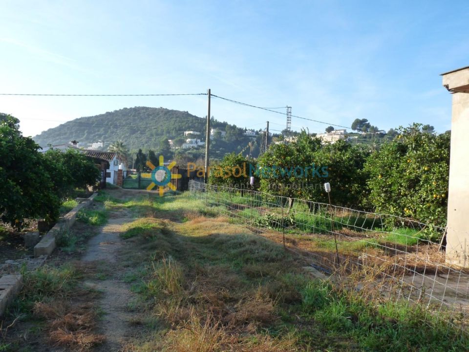 Helårsgrund i Oliva, Valencia - foto 3