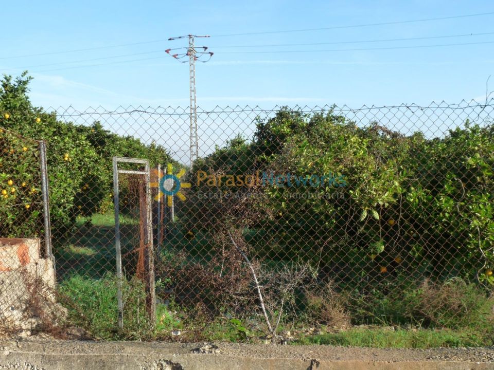 Helårsgrund i Oliva, Valencia - foto 2