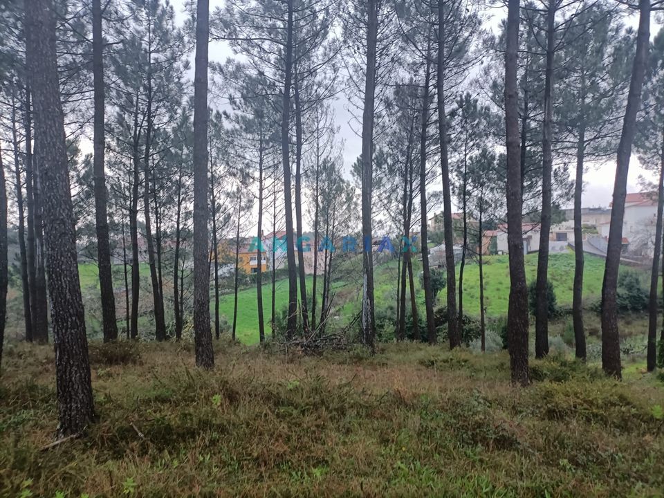 Helårsgrund i Leiria, Leiria - foto 2
