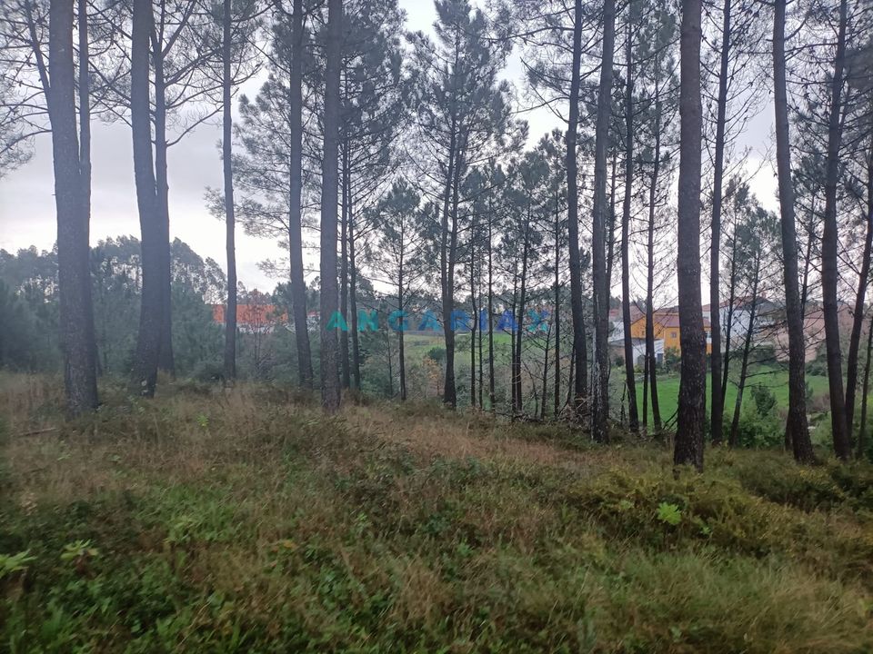 Helårsgrund i Leiria, Leiria - foto 4