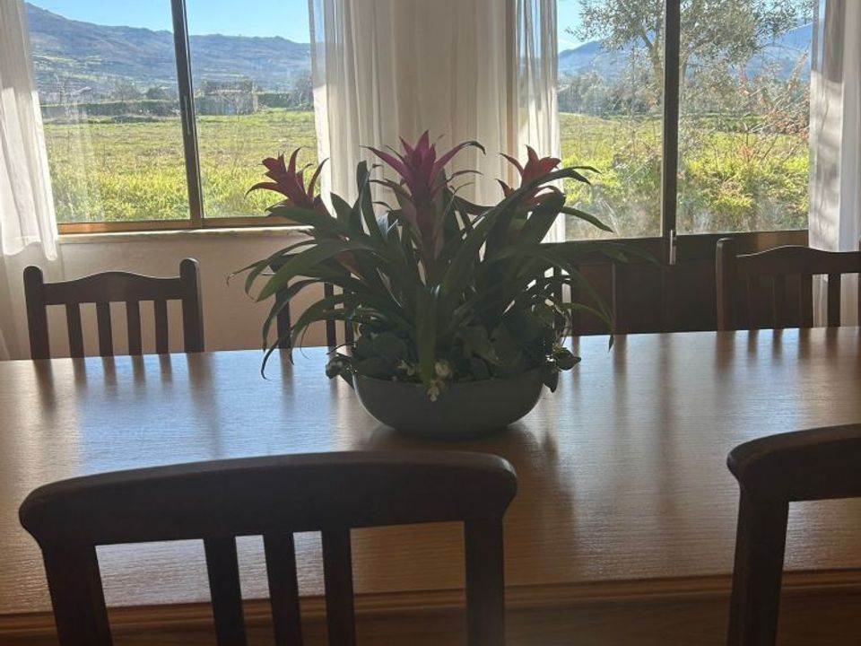 Landejendom i Gouveia, Guarda - foto 3
