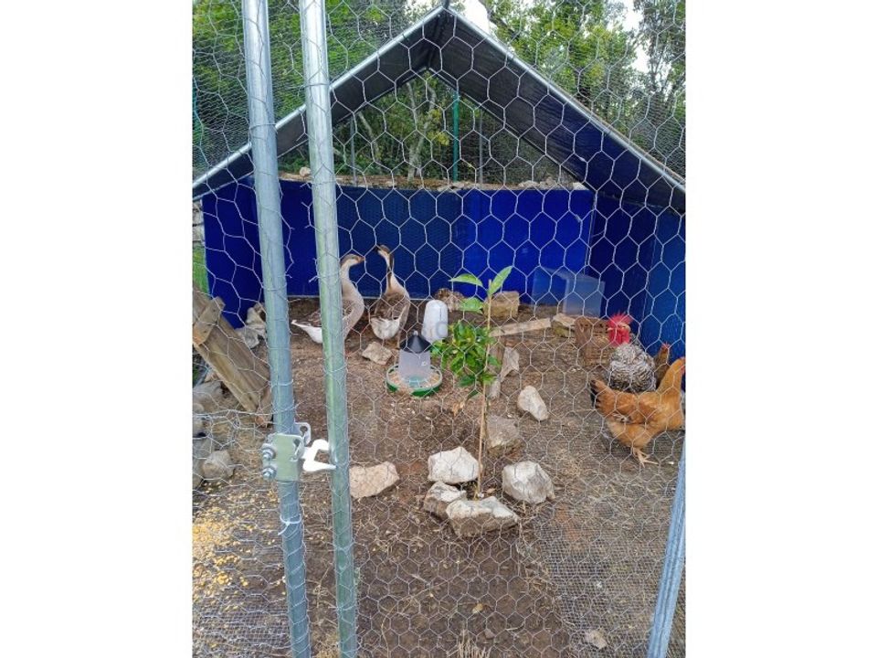 Granja a Aljubarrota, Leiria - foto 4