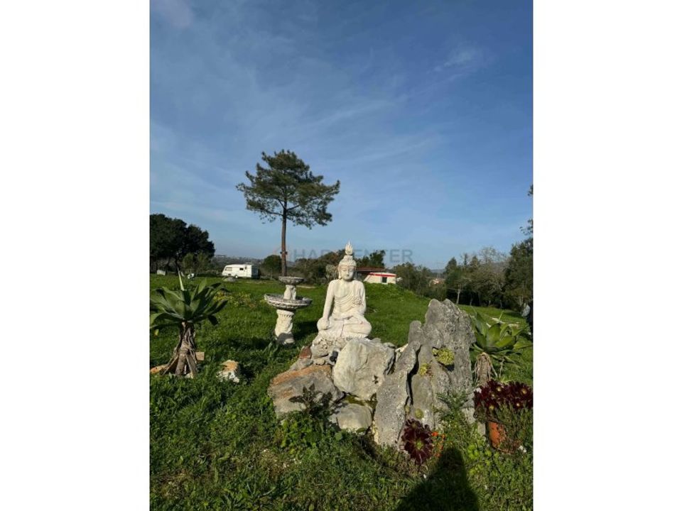 Granja a Aljubarrota, Leiria - foto 3