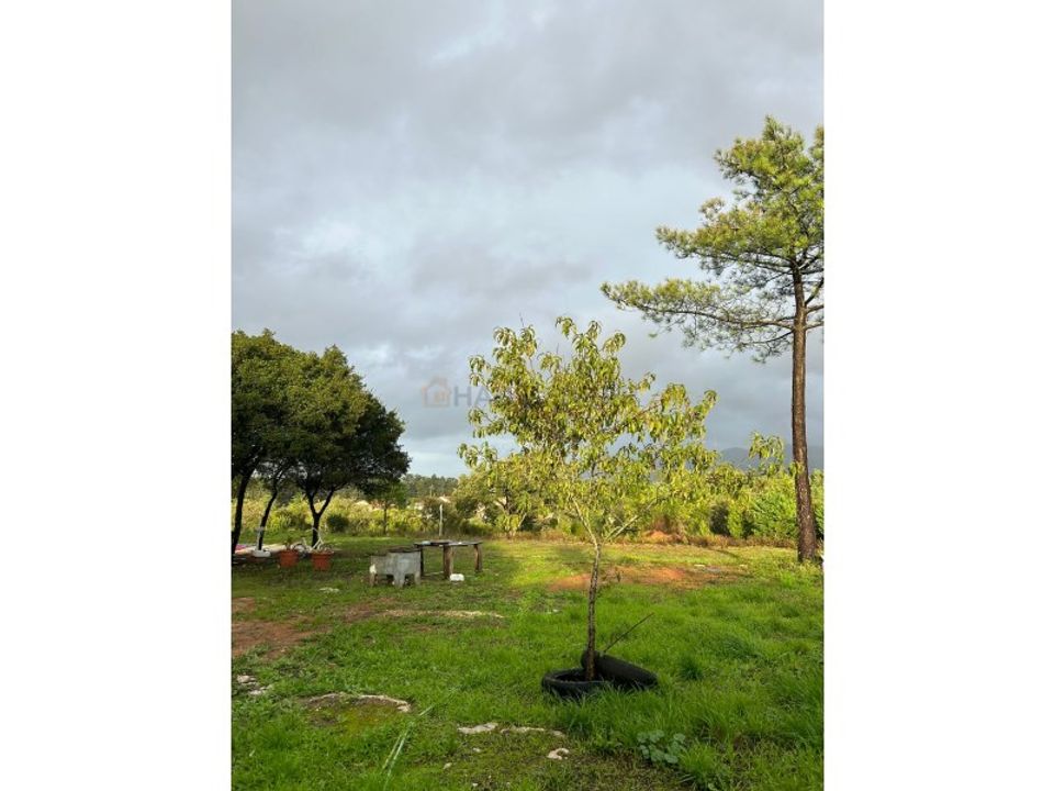 Granja a Aljubarrota, Leiria - foto 1