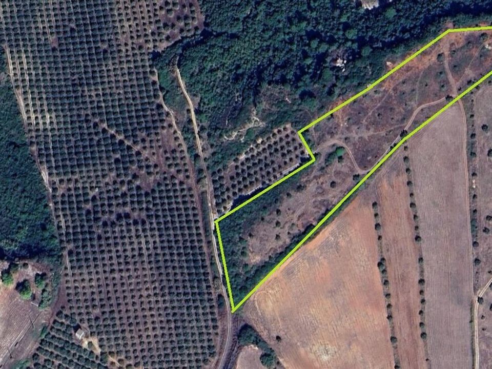 Terreno en Assentiz, Santarem - foto 3