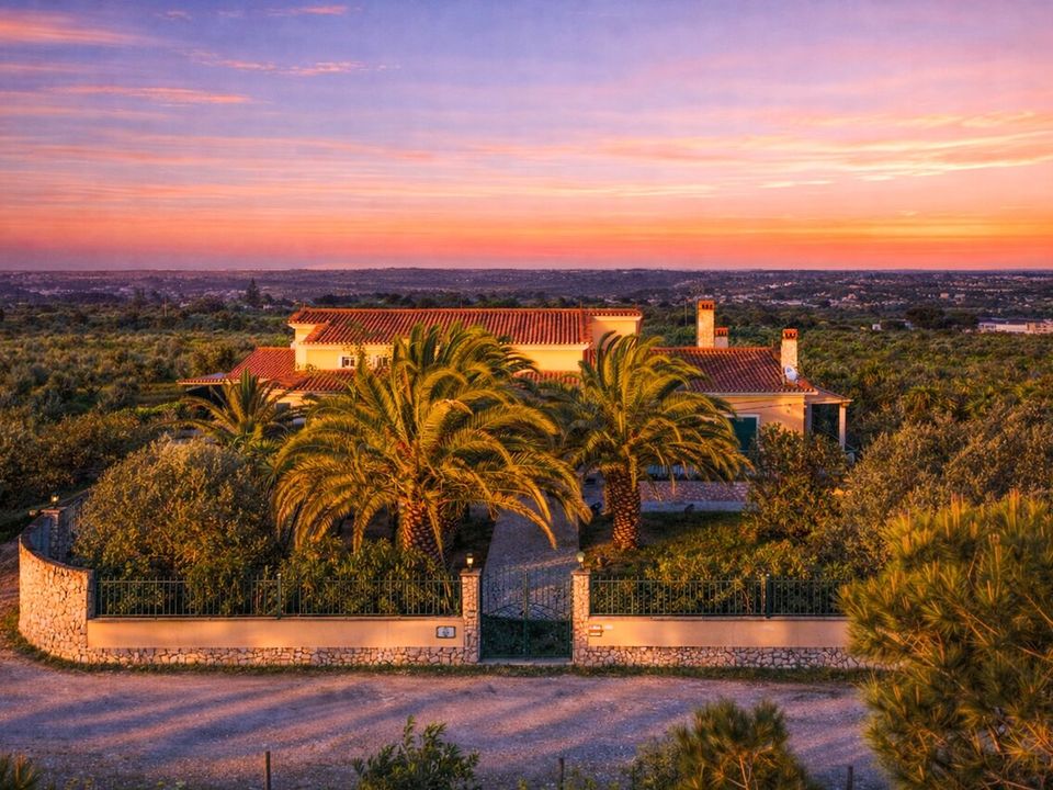 Gård i Cartaxo, Santarem - bilde 4