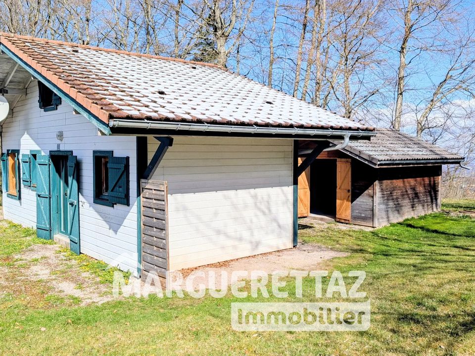 Træhytte i La Roche-sur-Foron, Haute-Savoie - foto 1