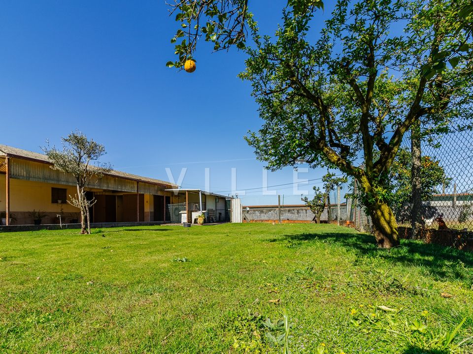 Villa i Albergaria-a-Velha, Aveiro - foto 3