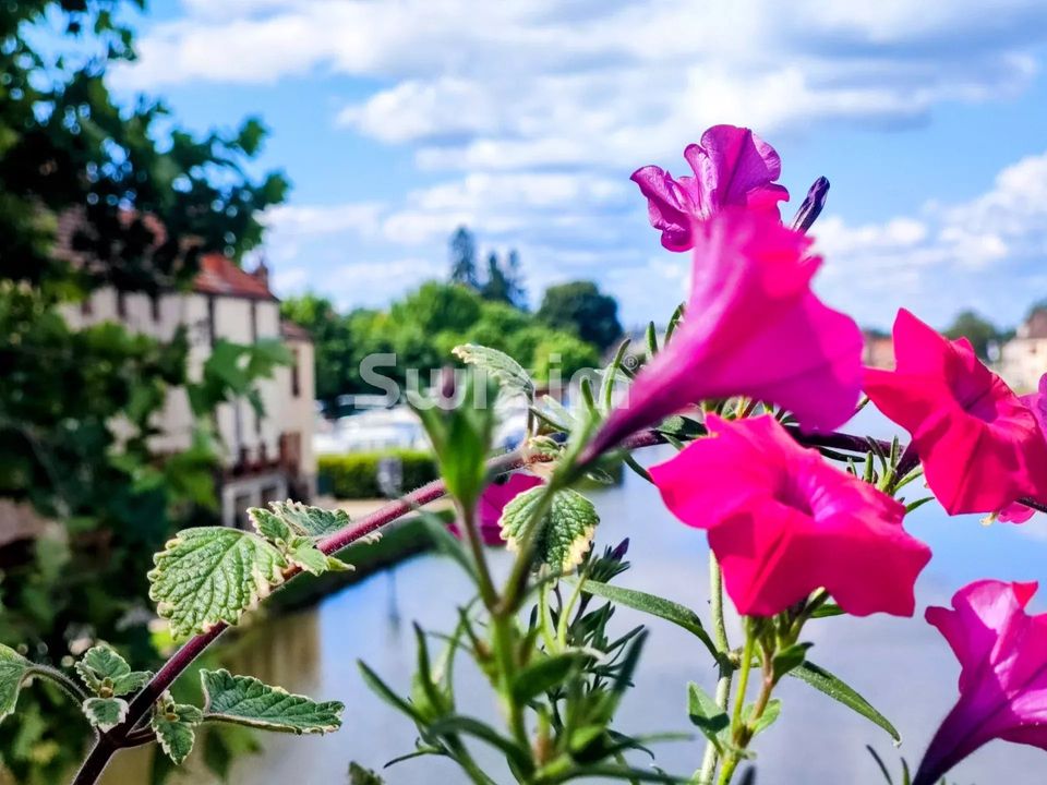 Landejendom i Santenay, Cote-d'Or - foto 2