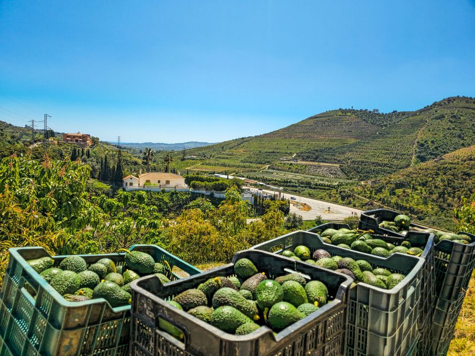 Villa i Vinuela, Malaga - foto 4