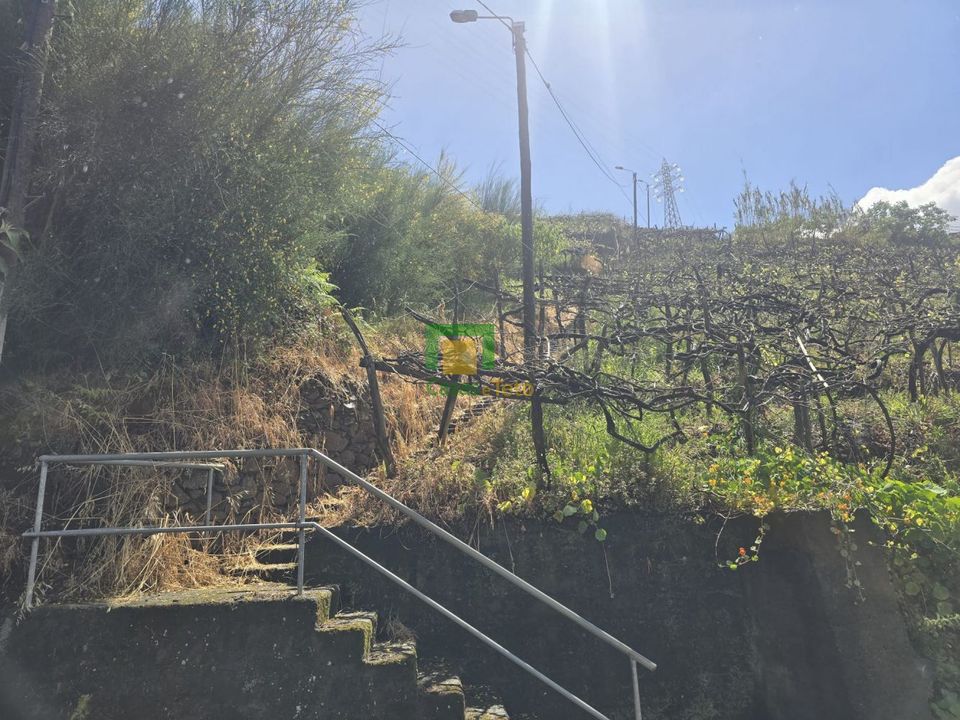 Helårsgrund i Camara de Lobos, Madeira - foto 2