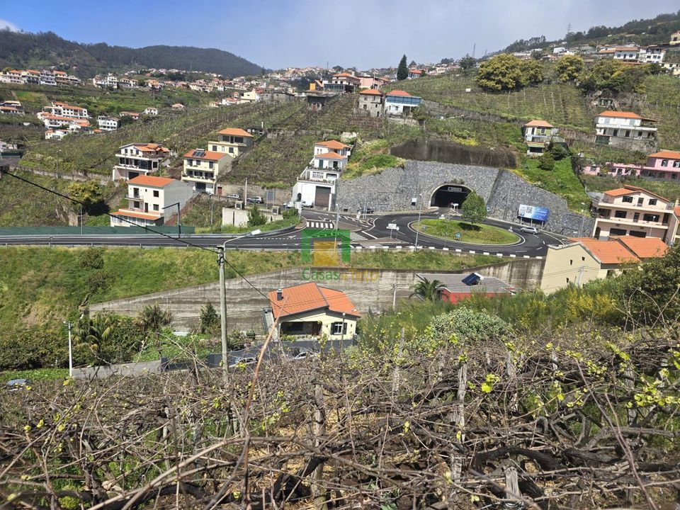 Helårsgrund i Camara de Lobos, Madeira - foto 3