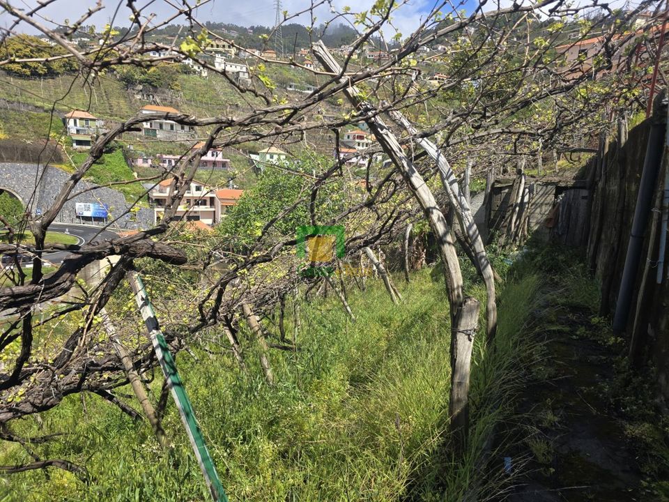 Helårsgrund i Camara de Lobos, Madeira - foto 4