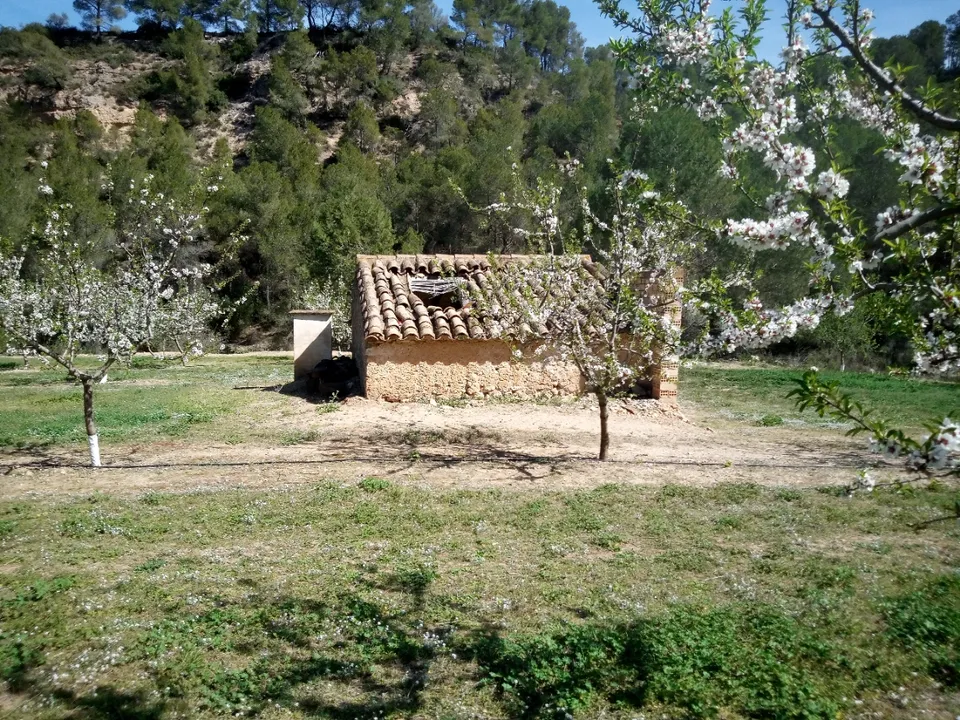 Finca i Ginestar, Tarragona - bilde 2