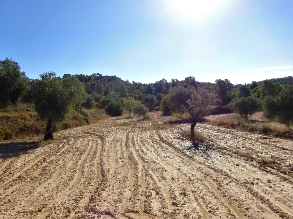 Finca i Caspe, Zaragoza - foto 3