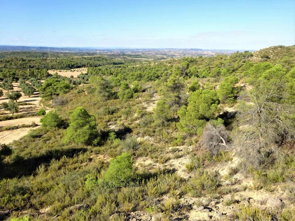 Finca i Caspe, Zaragoza - foto 5