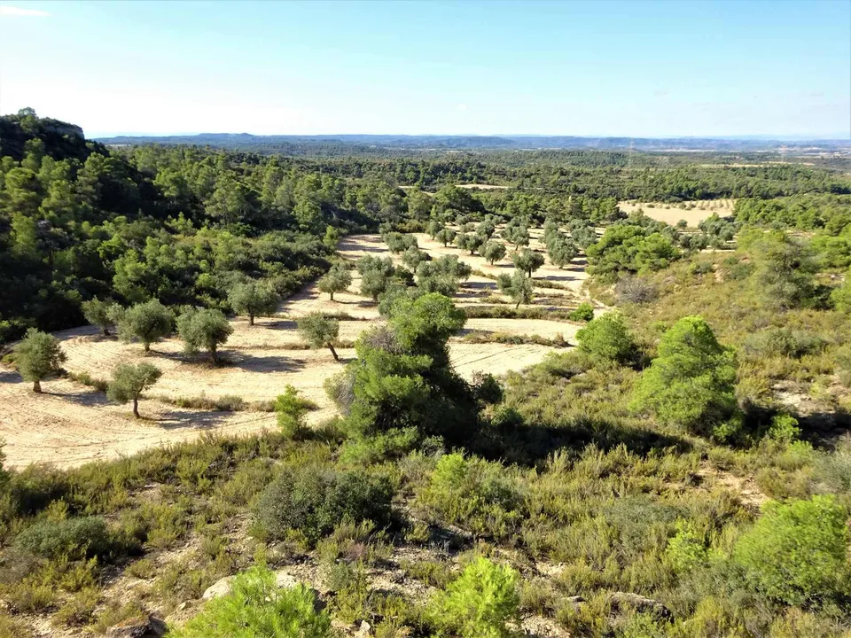 Finca i Caspe, Zaragoza - foto 4
