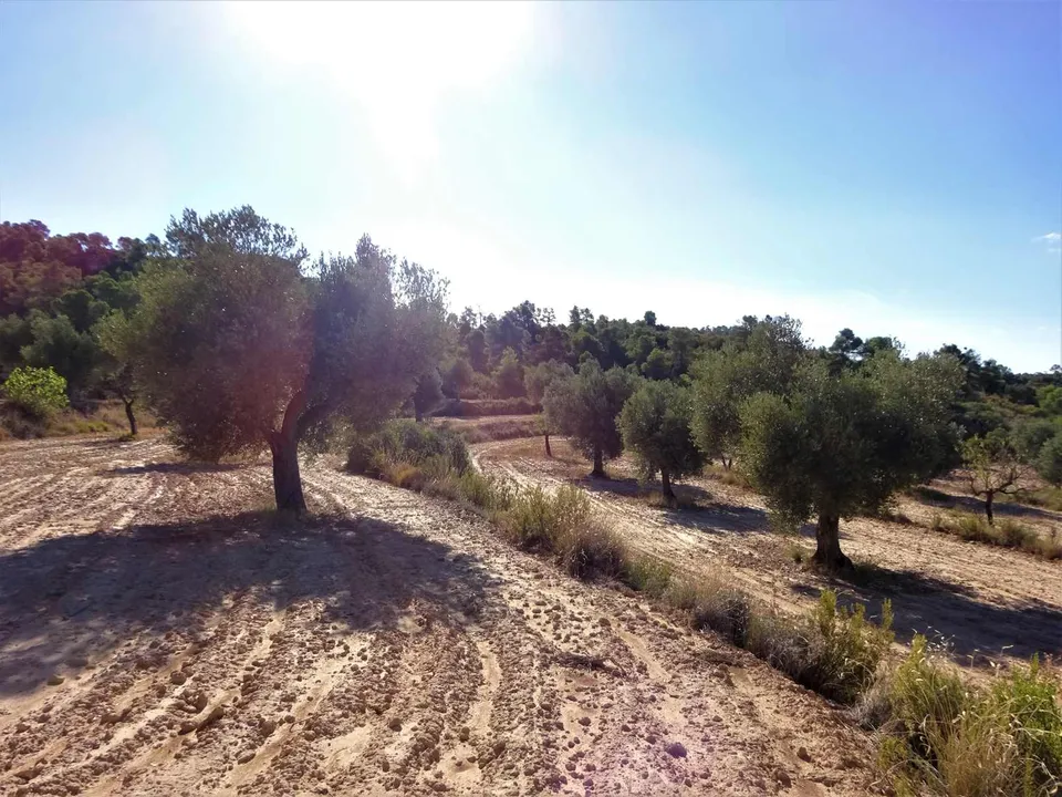 Finca i Caspe, Zaragoza - foto 2