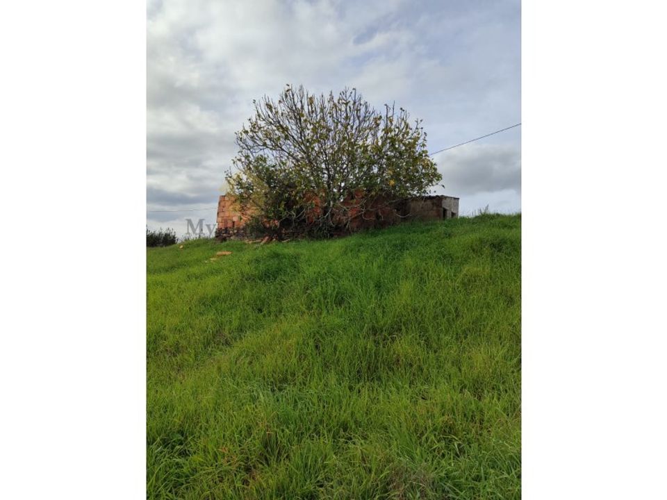 Helårsgrund i Silves, Faro - foto 4