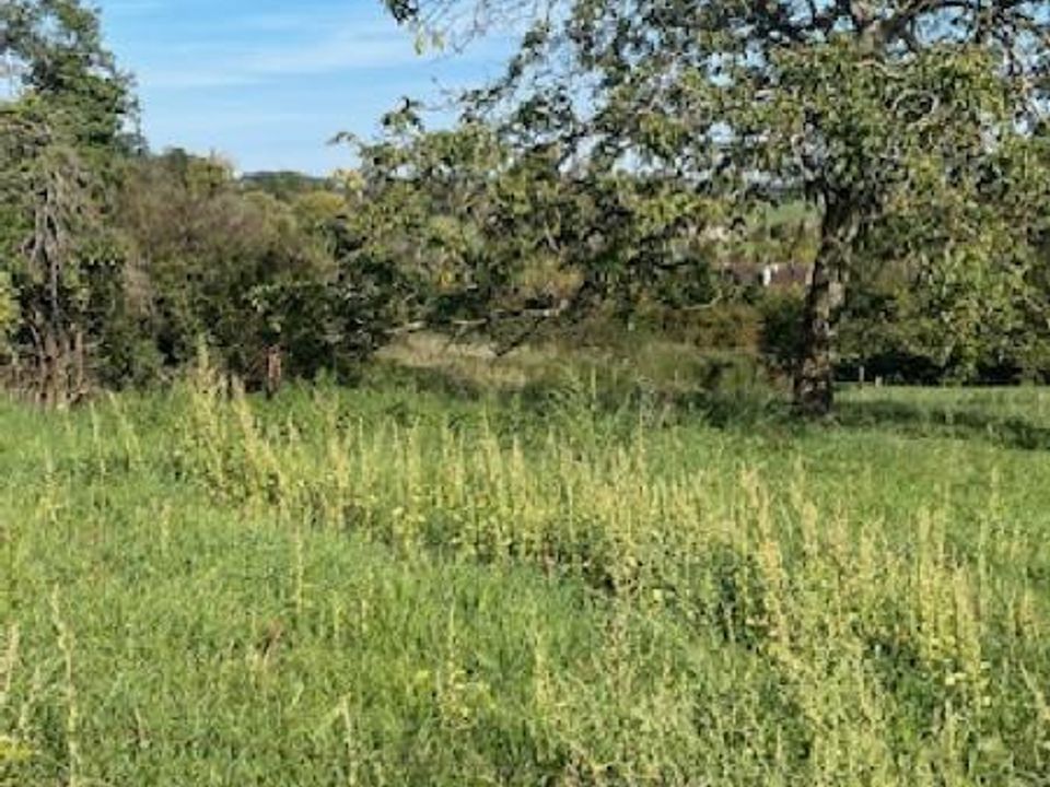 Helårsgrund i Bouxières-aux-Chênes, Meurthe-et-Moselle - foto 5