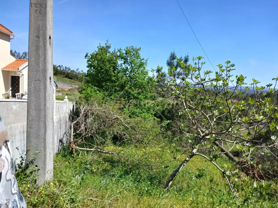 Helårsgrund i Pombal, Leiria - foto 1