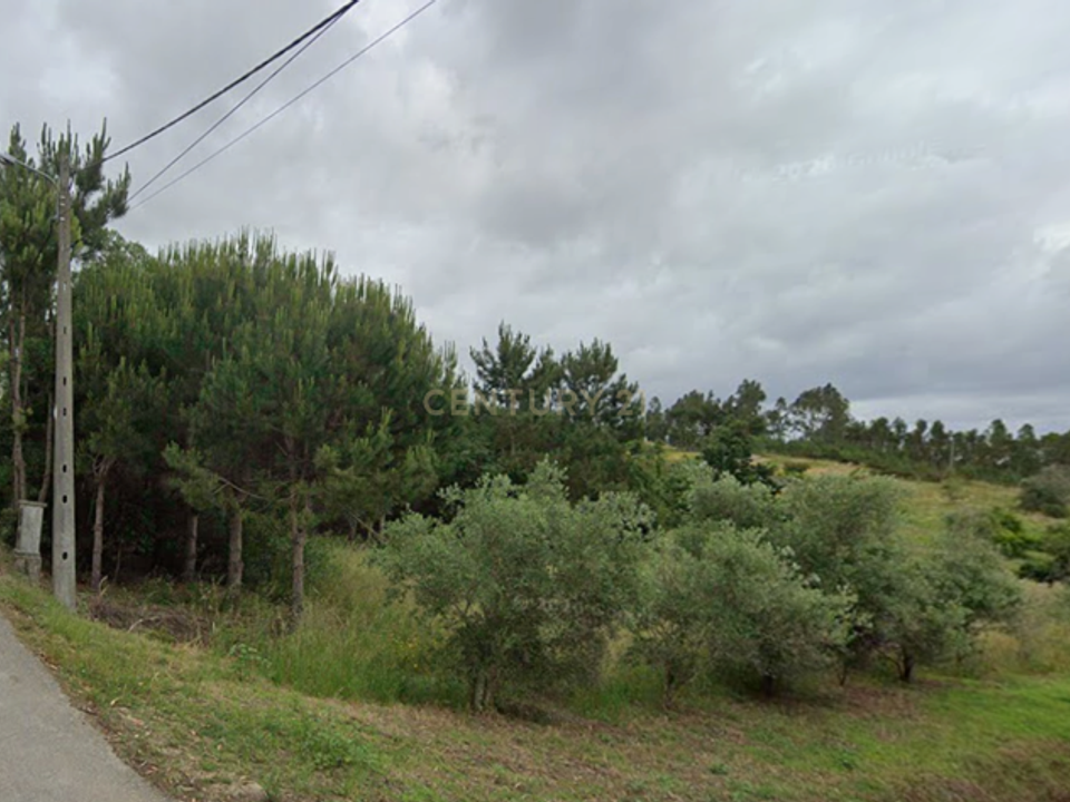 Helårsgrund i Pombal, Leiria - foto 2