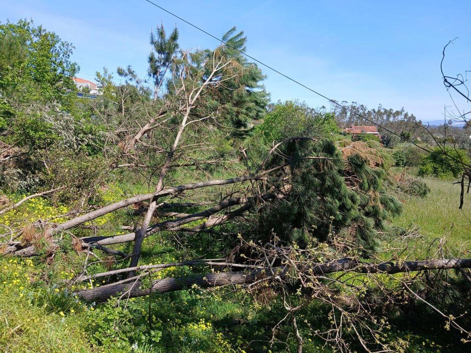 Helårsgrund i Pombal, Leiria - foto 3