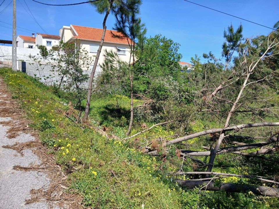 Helårsgrund i Pombal, Leiria - foto 4