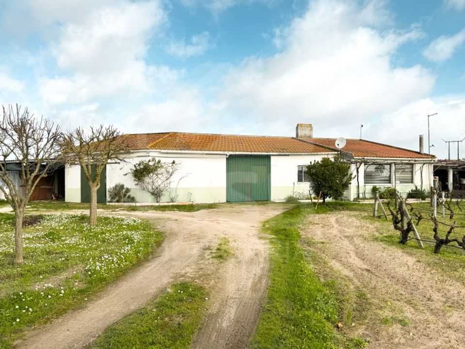 Helårsgrund i Benavente, Santarem - foto 1