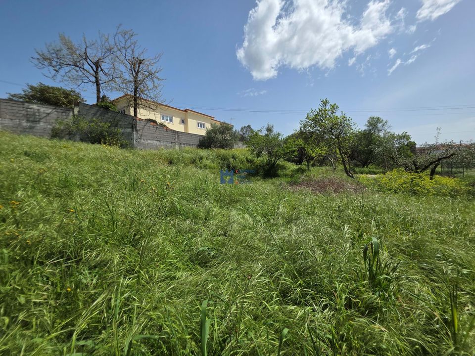 Helårsgrund i Fatima, Santarem - foto 1