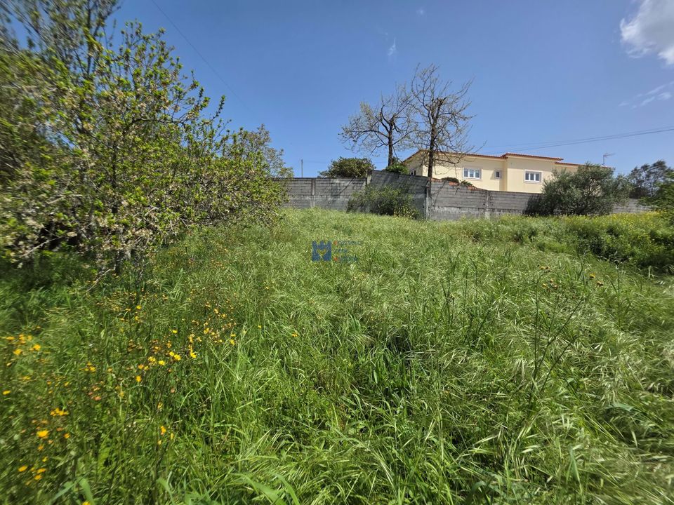 Helårsgrund i Fatima, Santarem - foto 2