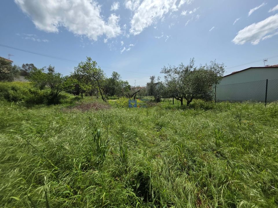 Helårsgrund i Fatima, Santarem - foto 3