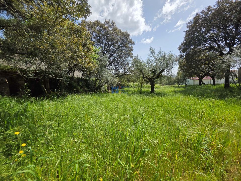 Helårsgrund i Fatima, Santarem - foto 4