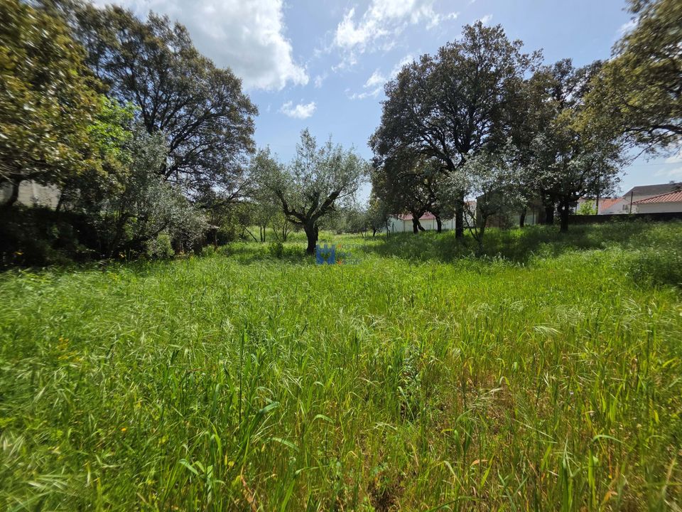 Helårsgrund i Fatima, Santarem - foto 5