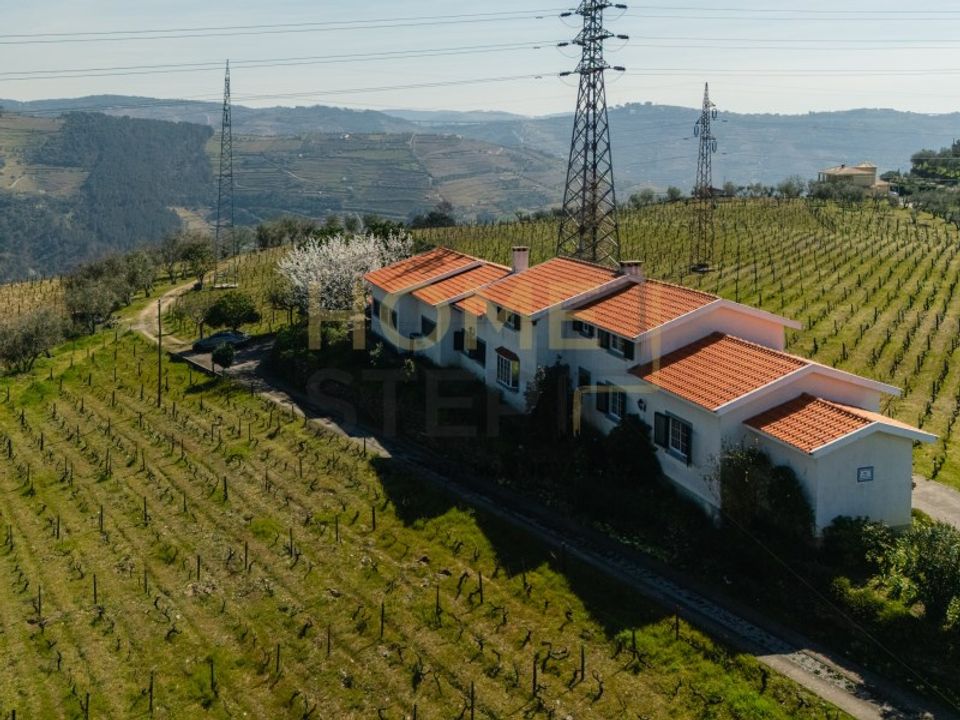 Farm i Cumieira, Vila Real - foto 4