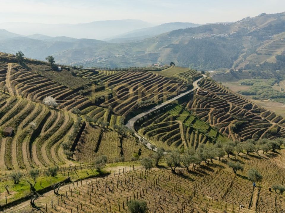 Farm i Cumieira, Vila Real - foto 5