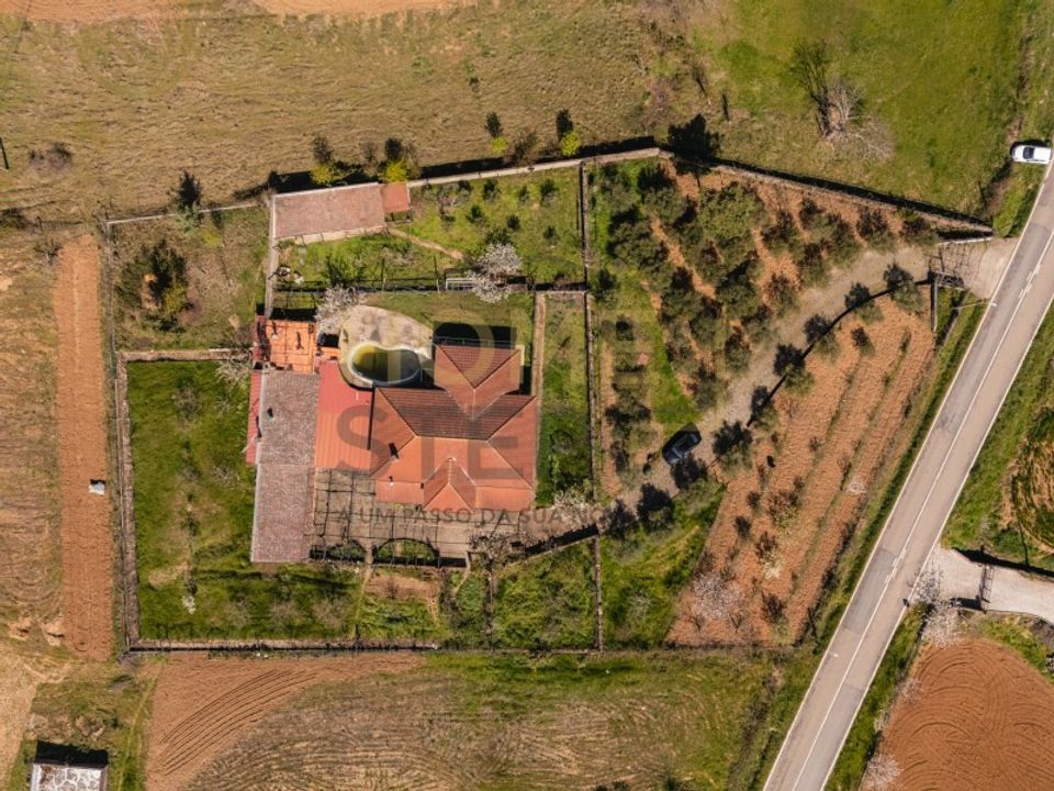 Farm i Sao Pedro de Sarracenos, Braganca - foto 3
