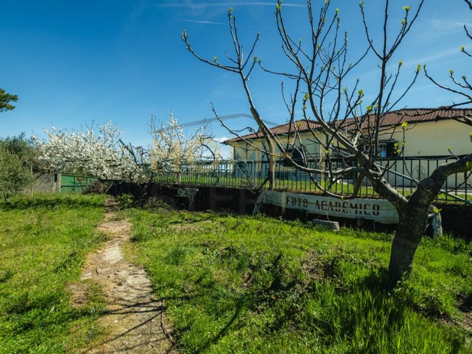 Farm i Sao Pedro de Sarracenos, Braganca - foto 5