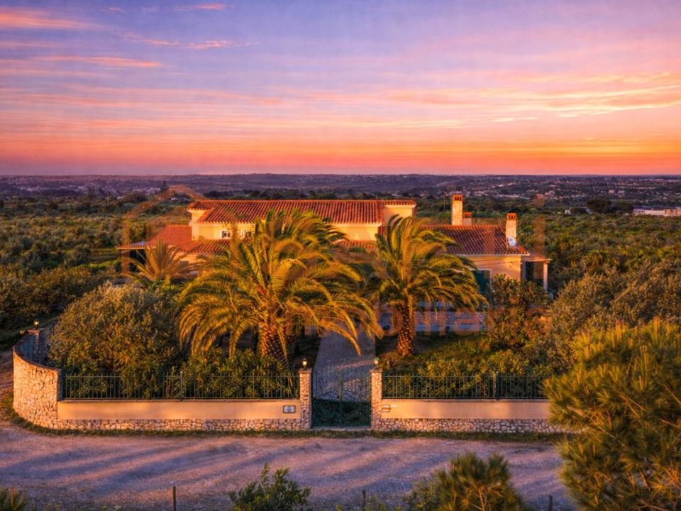 Farm i Cartaxo, Santarem - foto 3