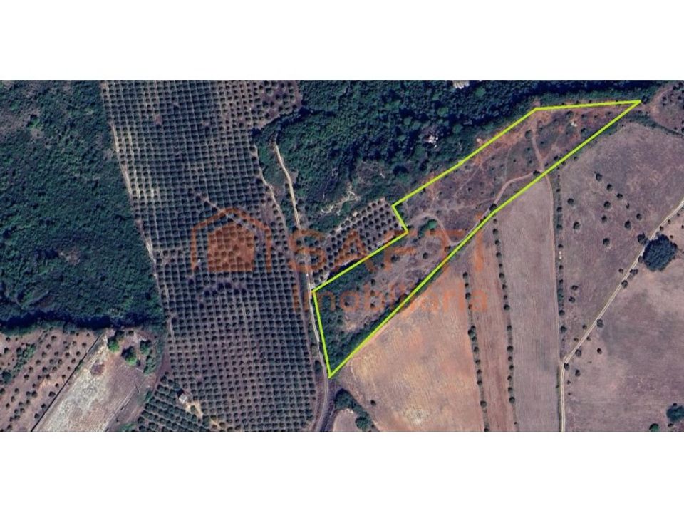 Terra em Assentiz, Santarem - foto 3