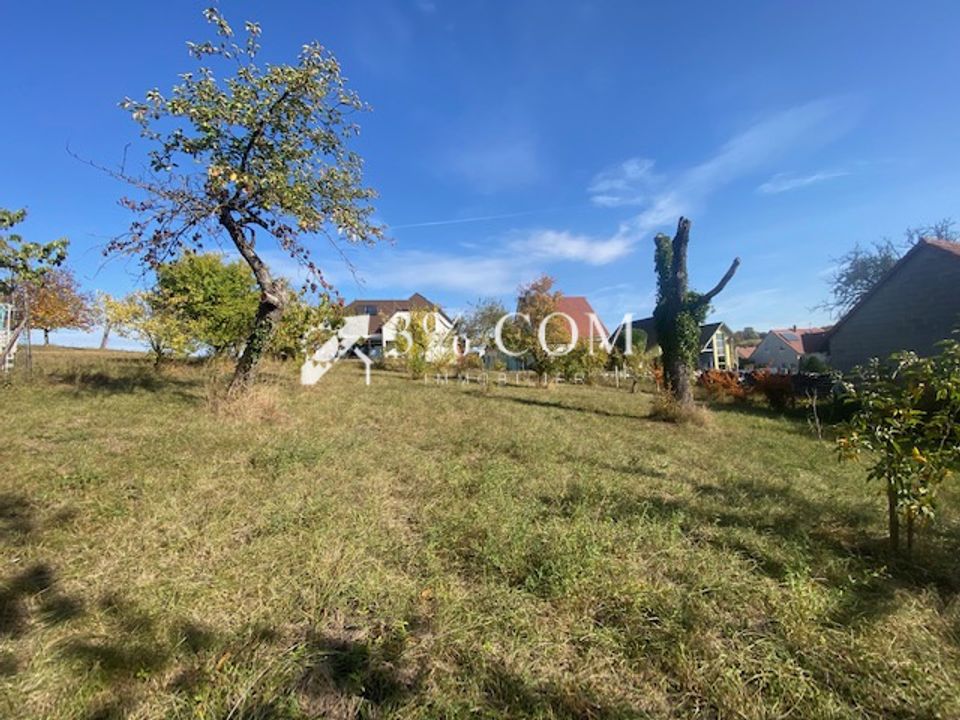 Helårsgrund i Dettwiller, Bas-Rhin - foto 5