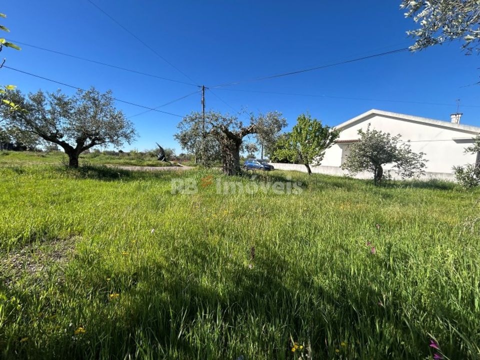 Helårsgrund i Casais e Alviobeira, Santarem - foto 1