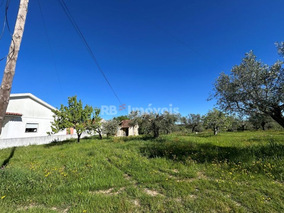 Helårsgrund i Casais e Alviobeira, Santarem - foto 2