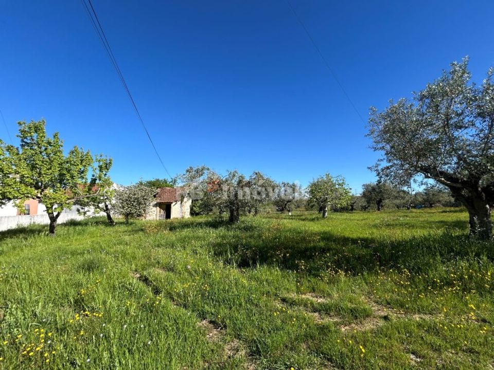 Helårsgrund i Casais e Alviobeira, Santarem - foto 3