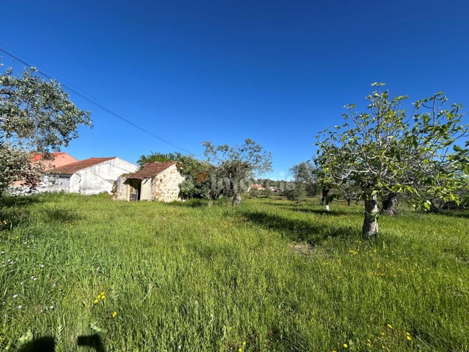 Helårsgrund i Casais e Alviobeira, Santarem - foto 4