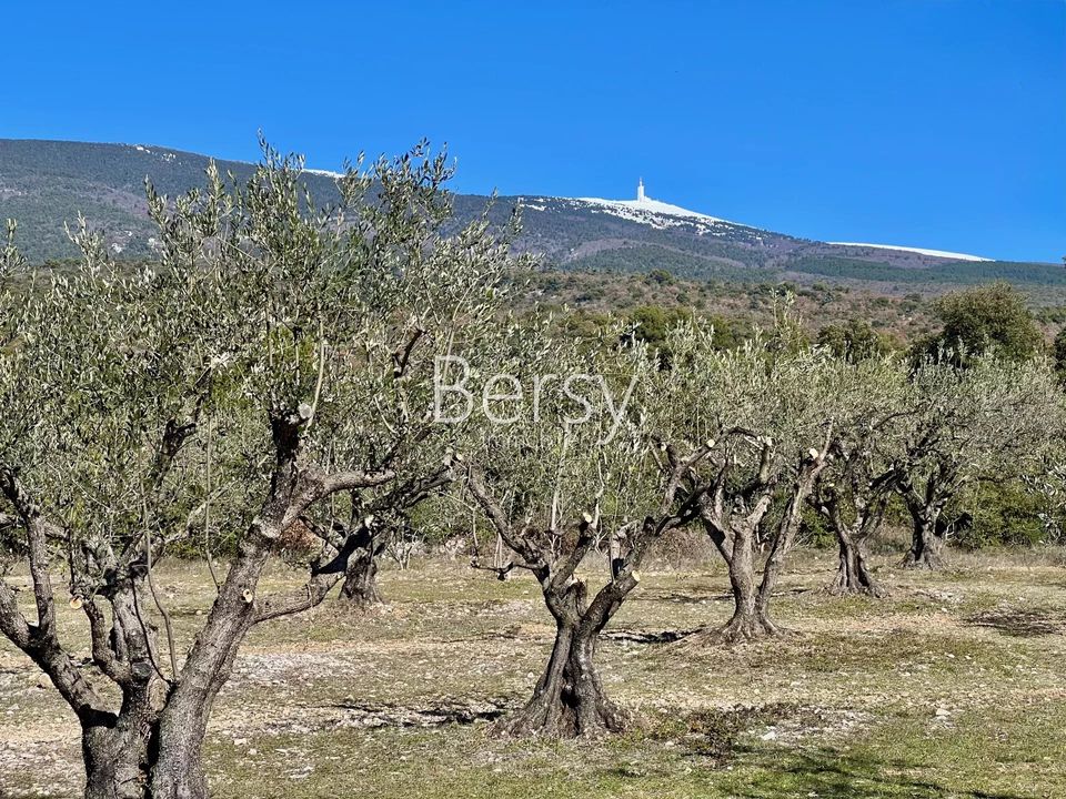Villa i Bédoin, Vaucluse - foto 1