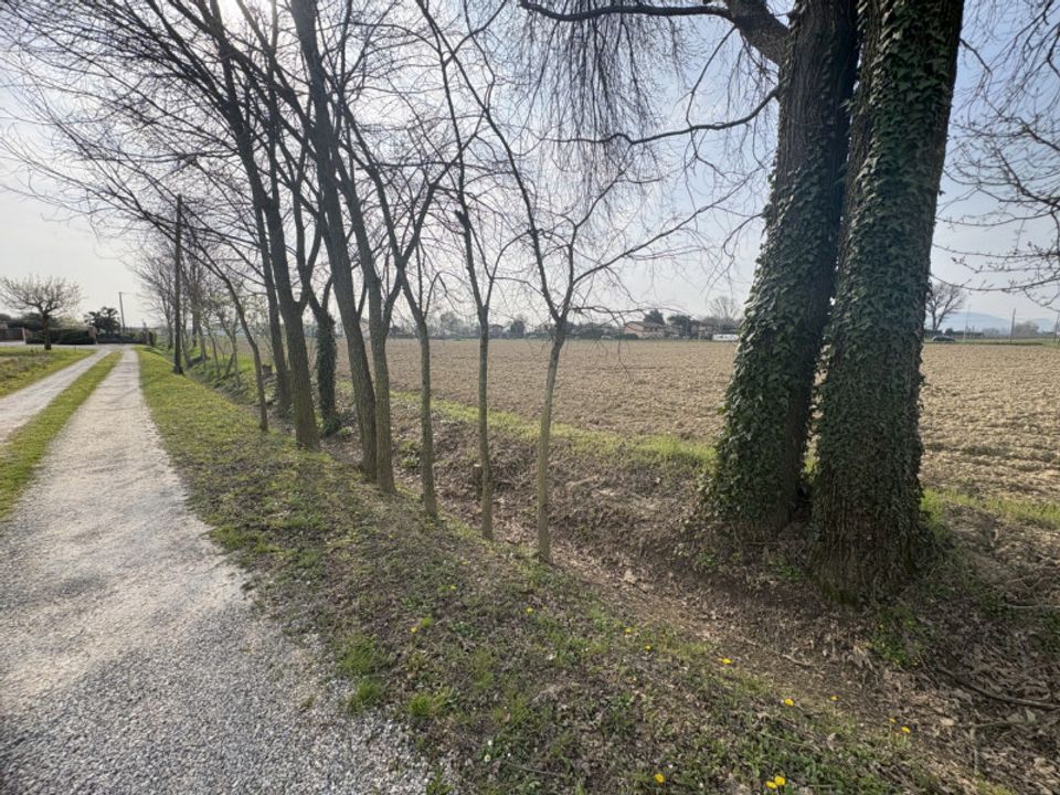 Helårsgrund i Saccolongo, Padua - foto 1