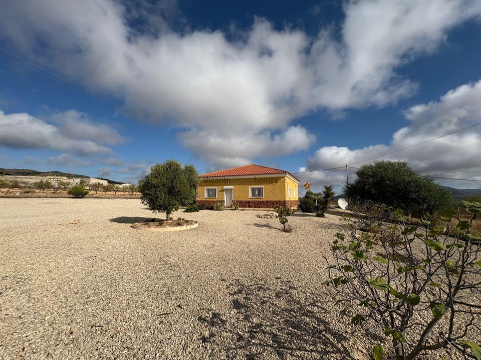 Villa i Pinoso, Alicante - foto 3