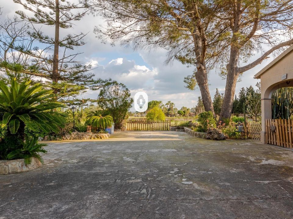 Dom wiejski: Inca, Mallorca – zdjęcie 4